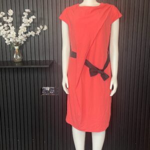 Elegant Pink Women’s Dress