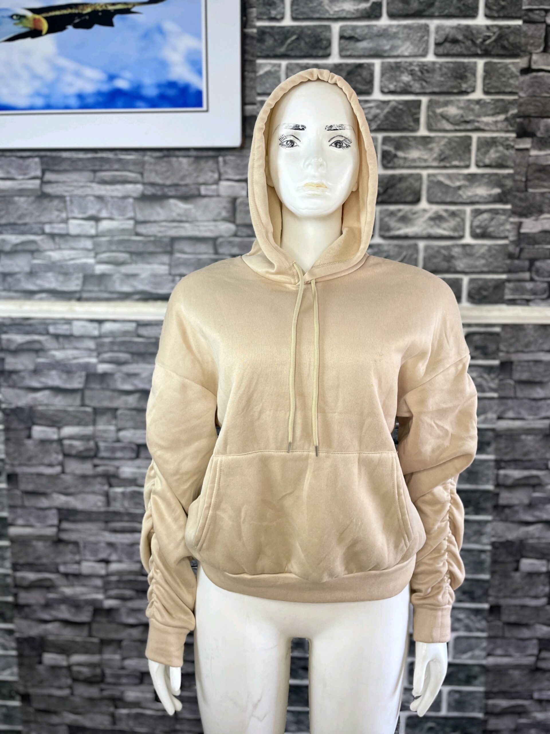 Brown Sweatshirt 1 Brown Sweatshirt