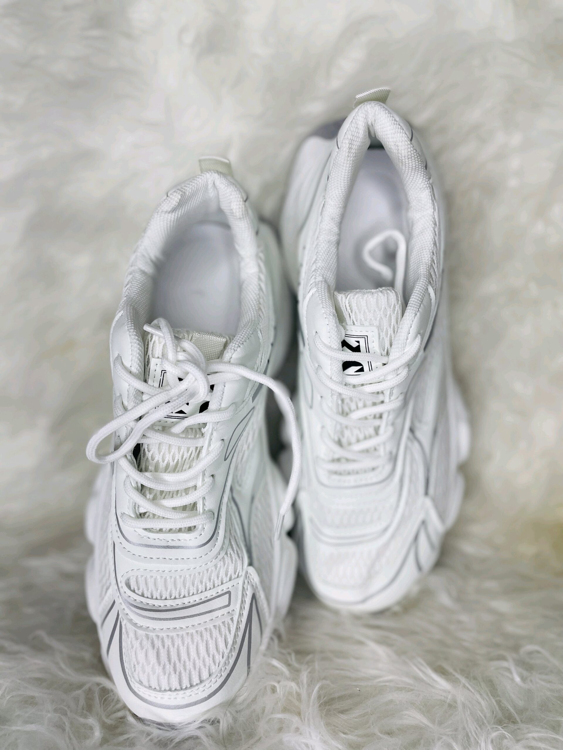 Elegant White Canvas 1 Elegant White Canvas