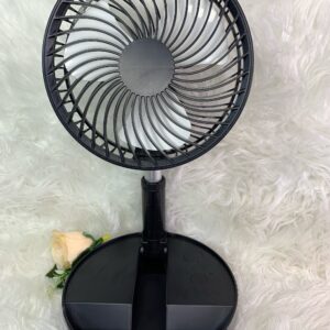 Rechargeable Standing Fan