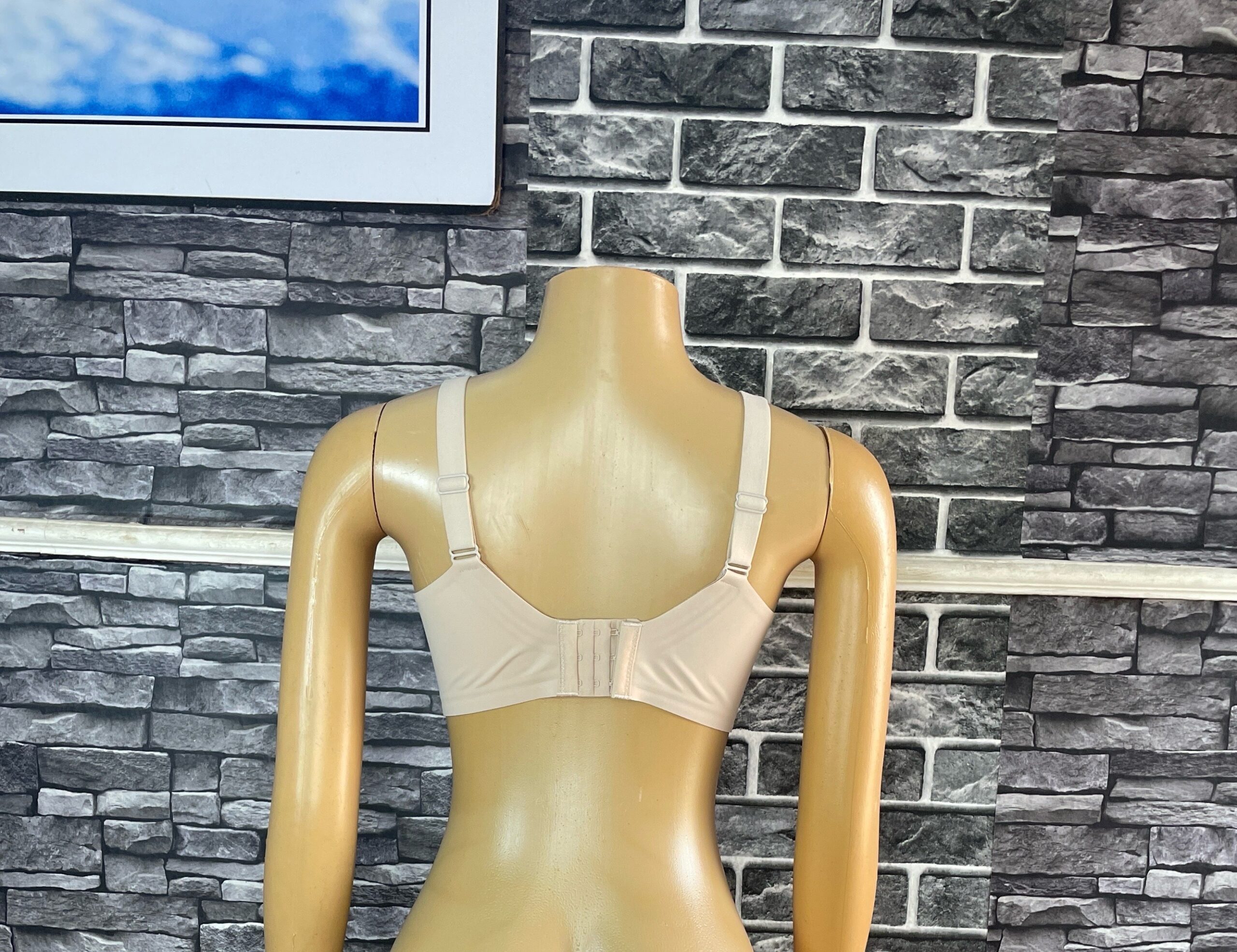 Seamless Wireless Bra 2 Seamless Wireless Bra - Image 2