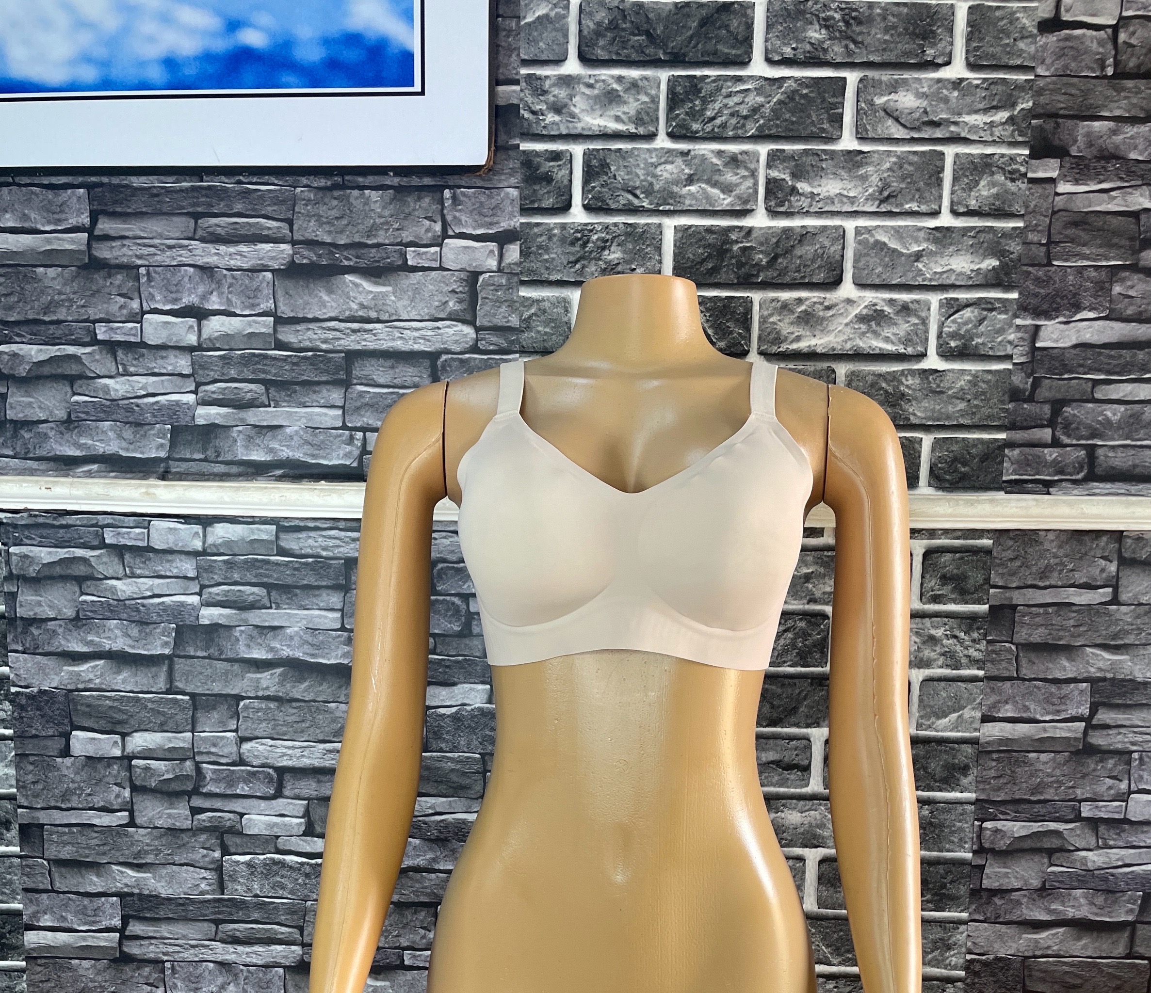 Seamless Wireless Bra 3 Seamless Wireless Bra - Image 3