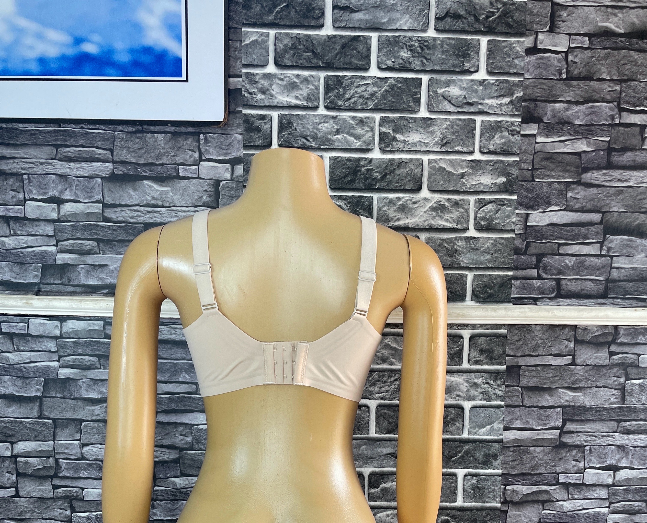 Seamless Wireless Bra 4 Seamless Wireless Bra - Image 4